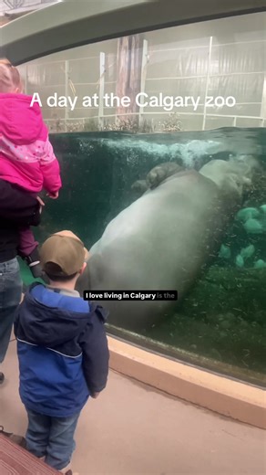 Sarah Carter 💞 (@sarah.g.carter)’s videos with original sound - Sarah Carter 💞