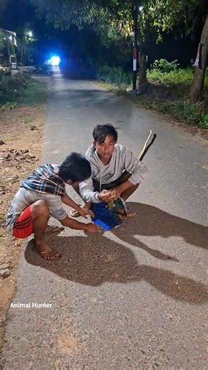 5.3K views · 11 reactions | Caplok squirrel sleeping on a tree #squirrel #fyp #reels | Wild Nature | Facebook