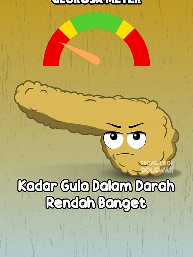 Ketika Gula Darah Rendah Ketika gula dalam darah Rendah, Pankreas akan melepaskan Hormon Glukagon, lalu Glukagon akan menstimulasi Hati untuk melepaskan Glikogen atau nama lainnya cadangan glukosa yang di simpan di Hati dan Otot Rangka. BTW Glukosa itu nutrisi penting yang akan digunakan oleh tubuh untuk menjadi energi #animasidolewak #dolewak #animasiorgantubuh