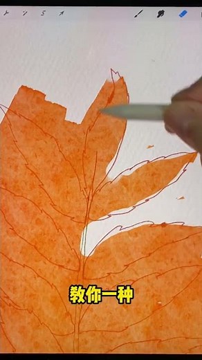 iPad零基础procreate教程 | 快速给线稿上色 #shorts #procreate #procreate绘画 #绘画教程 #ipad画画