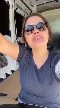 Insulation Install for Van Build with 3M Thinsulate #vanbuildseries