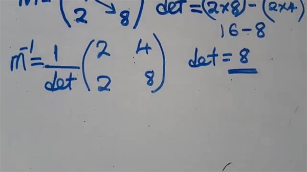 17 reactions | MATHEMATICS Determinant Of A Singular Matrix . And Inverse if a 2X2 For Tuitions WhatsApp 0971066747 | Harrison J Zulu Tutor | Facebook