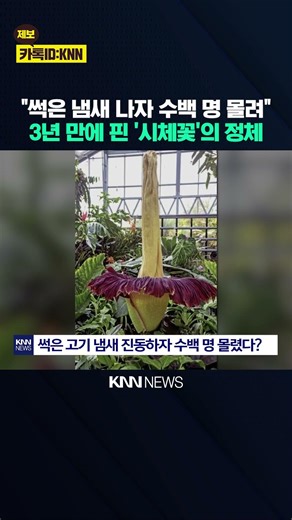 Roughly stench of rotten meat… Visitors lining up to smell the odor? / KNN