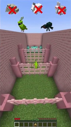 Which Animal Survives the Challenge? 😱