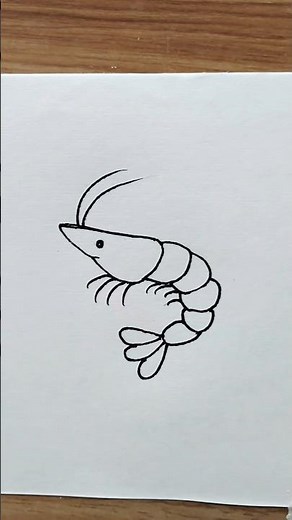 Easy Shrimp Drawing Tutorial Step by Step for Beginners