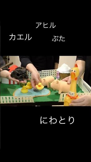 身体が反応すると、リズムが変わる。受講締切間近 #打楽器アンサンブル講座 #リズム#打楽器