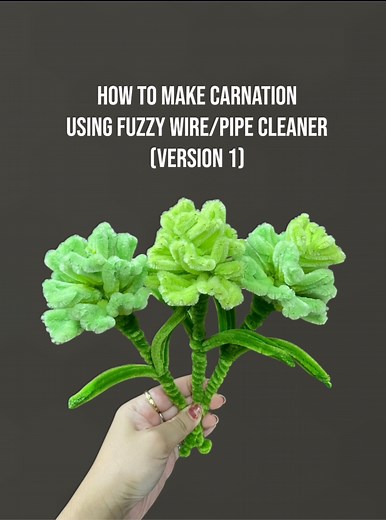 How to make Carnation using Fuzzy Wire/Pipe Cleaner. Carnation Tutorial(version 1). #fyp #foryou #fypage #fuzzywire #fuzzywireflowers #carnations #carnationpipecleaner #tutorial #tutorials #diy #craft #crafts #crafter #pipecleanercrafts #fuzzywireflower #diy #fuzzywirebouquet #fuzzywire #pipecleanerflowers #chenillestems #craftersgonnacraft #carnations #carnationtutorial #carnationsflowers #fuzzywireflowers #wearthaleiafuzzywireflowers #craftersoffacebook #craftersofinstagram | Wear Thaleia