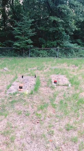 They touched the cat ball and light it up right after I showed them how to use it. Device being using is GhostTube VOX at Wynns Cemetery in Kentucky 🪦 | The Paranormal Couple