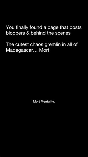 Movie Bloopers on Instagram: "Every Madagascar fan remembers Mort — the tiny, chaotic ball of fluff with a scream louder than his whole body. He wasn’t meant to steal the spotlight… but somehow he always did. That mix of adorable and unhinged energy made him a legend in animated comedy."