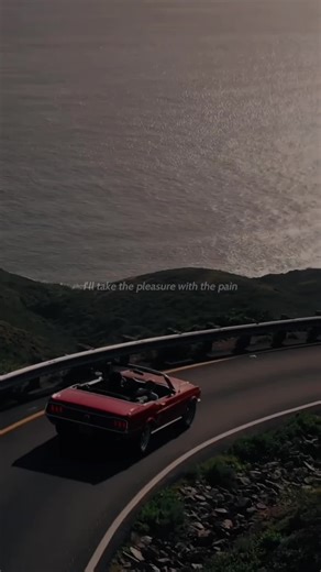Petals and Thorns Lyrics Breakdown and Meaning