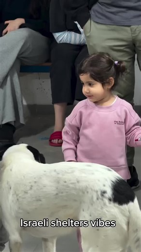 Israelis have been in and out of shelters as sirens continue to sound across the country. Here's a glimpse of life under constant missile threat. Even in difficult times, it's often the little things that help people get through. 📽 @yunabelyaeva