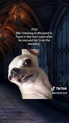 Rhysand & Feyre | ACOTAR Memes & Book Series | Funny Moments