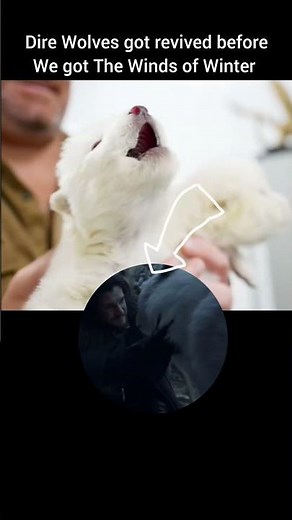 Dire Wolves got Revived 💀 | Dire wolves from Game of Thrones #ghost #jonsnow