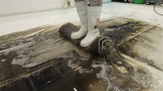 I couldn’t believe this rug could transform!