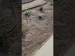 Utilizing The Rainbird 1800 Spray To Drip Retro-Fit Kit And Rainbird Drip Emitters