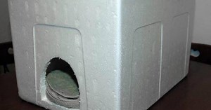 Abri pour chats errants facile à faire soi-même