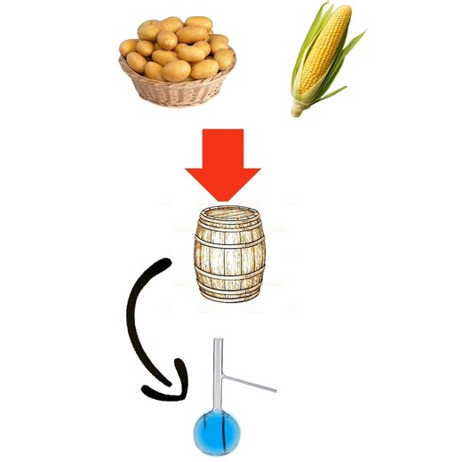 How Is Made Alcohol 😲😲 ( Did You Know) #alcohol #drink #ytshorts #shorts