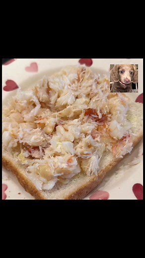 16K views · 70 reactions | Puppy Pause game #puppygames #pause #ChallengeChallenge #mobilegames #entertainment | Wowoddlysatisfying | Facebook