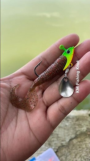 Jighead Fishing Bait Soft Lure 👍👍#fishing #bassfishing #tutorial