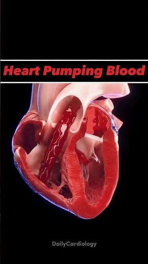 HEART ANIMATION !! #heart #anatomy #animation #bloodcirculation #cardiology #shorts