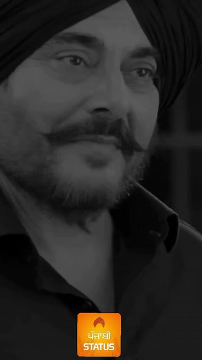 Punjabi Status Video: Expressions of Love and Freedom