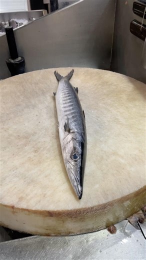 Fresh Fish cleaning and cutting 2026Amazing skills#fish #viral #shorts #youtube #fyp