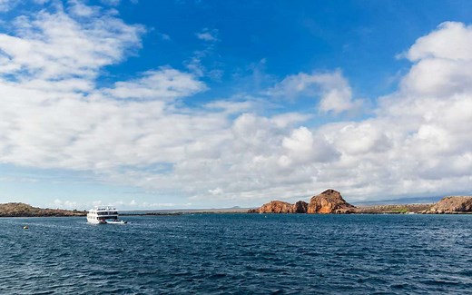 13 Best Galápagos Cruises for Wildlife, Island Excursions, and More
