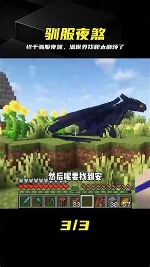 馴龍之路（6）：馴服一只夜煞，滿世界找鞍#我的世界##游戲##游戲日常# #我的世界 #驯龙 #夜煞 #游戏日常 #装备