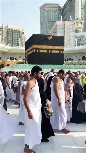 13/Oct/2025 12:00 PM "اليوم خسوف .🌠.. وغدًا وقوف"🚶‍♂️ 🔥✍️ #Quran#منة_الله_رمضان #short #trending