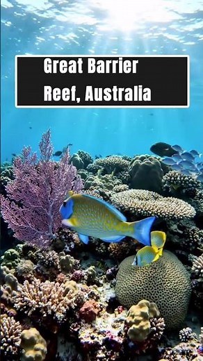 Great Barrier Reef, sistem terumbu karang terbesar di dunia yang ada di lepaspantai Queensland #reef
