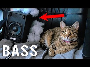 Stuffing Logitech Z213 Subwoofer With Polyfil