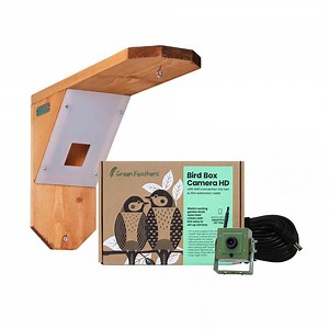 WiFi Bird Feeder Camera Bundle | Green Feathers