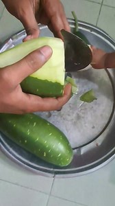 12K views · 168 reactions | নিজের গাছের প্রথম লাউ আর চিংড়ি মাছ দিয়ে তরকারি খাওয়ার মজাই আলাদা | Santa Cooking Studio | Facebook