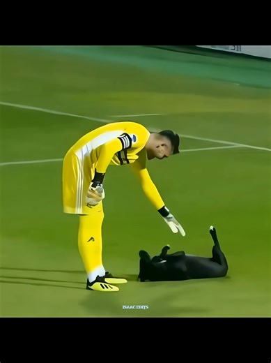 Respect Moments in Football: A Celebration of Sportsmanship