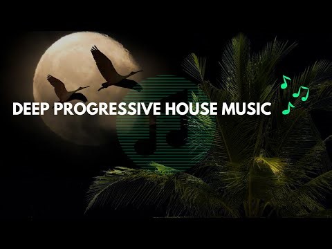 Musical Dooodles - DEEP BASS BOOSTED HOUSE MUSIC - PROGRESSIVE BEAT