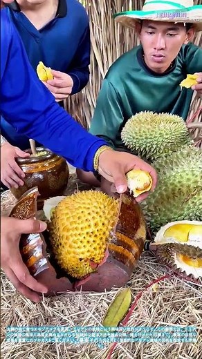 果物の王様を育てる：ドリアンの土鍋栽培