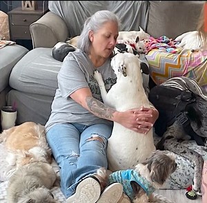 Whispering Willows Senior Dog Sanctuary, Inc. is on a mission to save senior dogs who have been abandoned and give them shelter and all the love they could ever need before they take their last breath. 🙏 Learn more about this amazing organization here--> bit.ly/3E7vtrI | Daily Paws