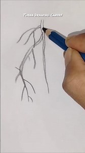 Root drawing #root #drawing #easydrawing #drawingideas #art #sketch #shorts