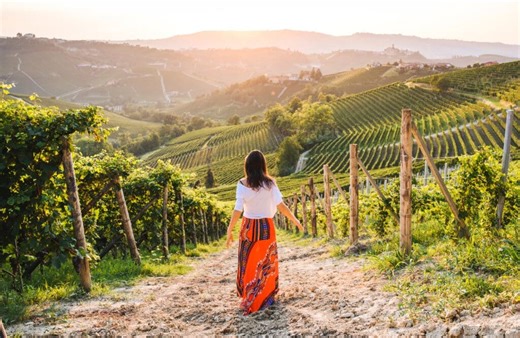 Affordable hols: 20 Cosmos tours under $2,500