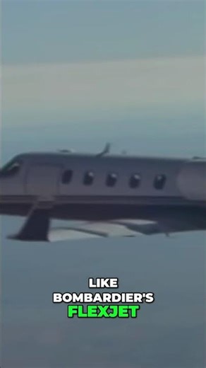 Navigating the Luxury Skies: NetJets Business Model