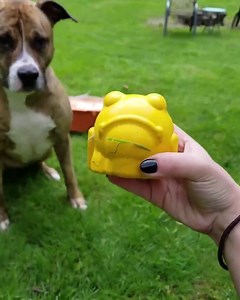 513K views · 1.6K reactions | The toughest, USA made toys and treats - shipped right to your door each month. Your search for super tough, high quality dog toys is over! NEW Subscribers - join today and use code FB40 for 40% off your first box at checkout! Hurry, this offer won't last long. Get yours here https://bullymake.com | BULLYMAKE | Facebook