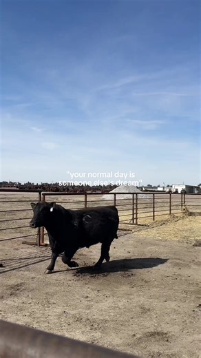 Building a Trustworthy Future in the Cattle Industry