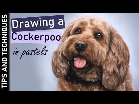 How to draw soft Cockerpoo fur in pastels | Tips & techniques