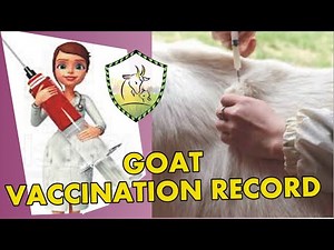 Goat / Sheep /Cattle /Vaccination/Feed Record keeping In Excel [2021] | Smart Farming