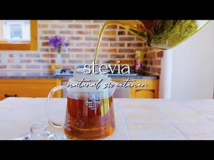 Silent Vlog 🌿 How to Make Stevia Syrup | A Zero-Calorie Sugar Replacement