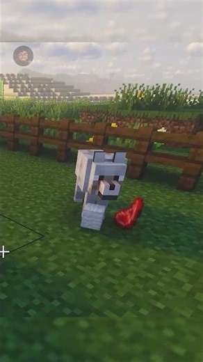 I Spawned Every Animal in Minecraft #minecraft #shorts