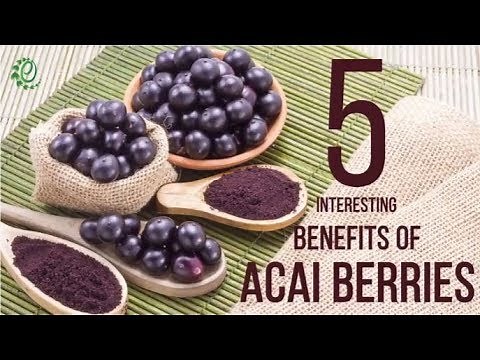 5 Interesting Benefits Of Acai Berries | Organic Facts