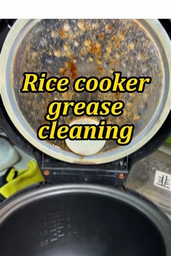 Effective Rice Cooker Grease Cleaning Tips