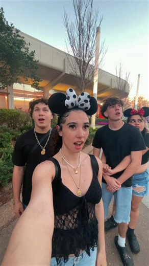 Explore 4 Disney Parks in One Day