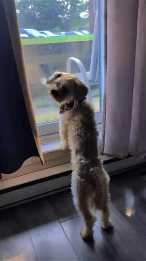 waiting for his friend